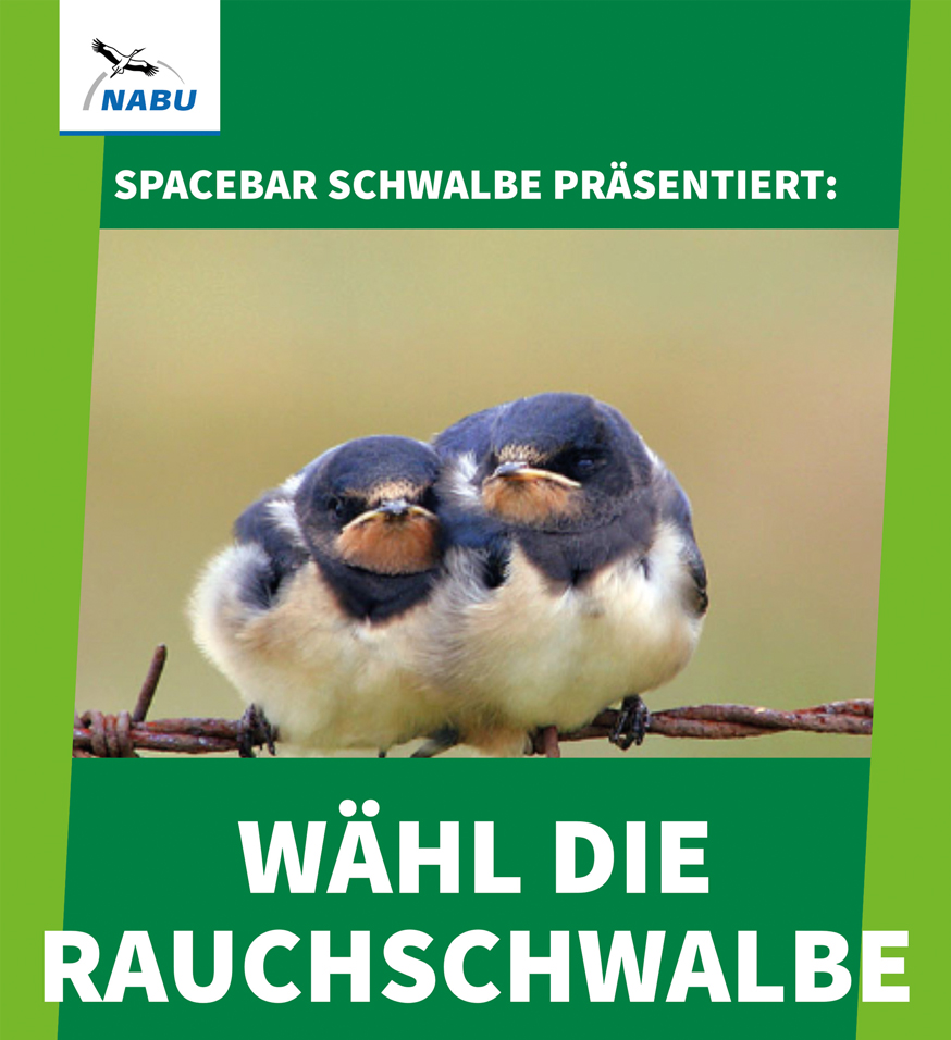 Wahlkampf